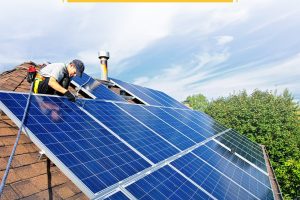 WhatsApp Image 2025-05-02 at 2.43.07 PM (1)